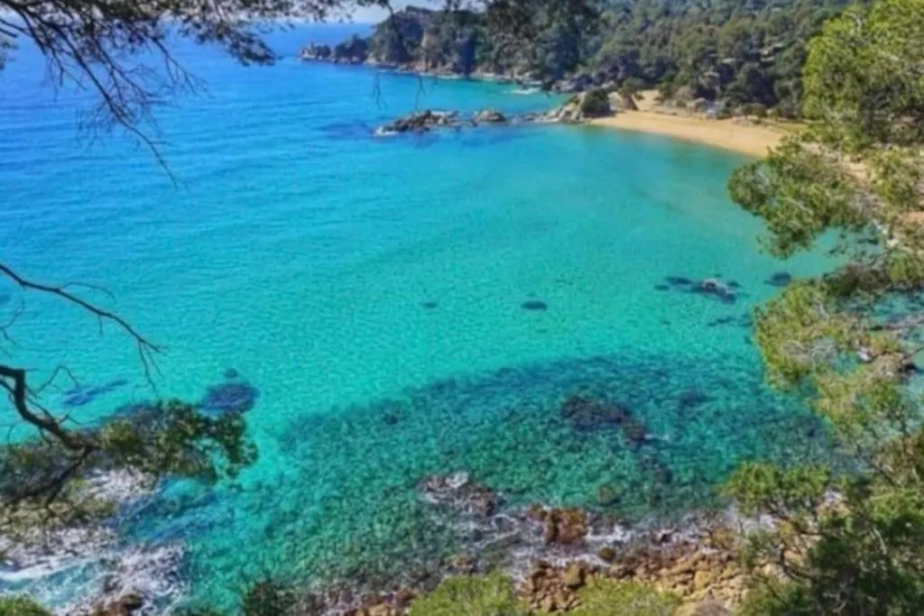 Apartment Seahomes Vacations - Acacias Beach&Chic Lloret de Mar