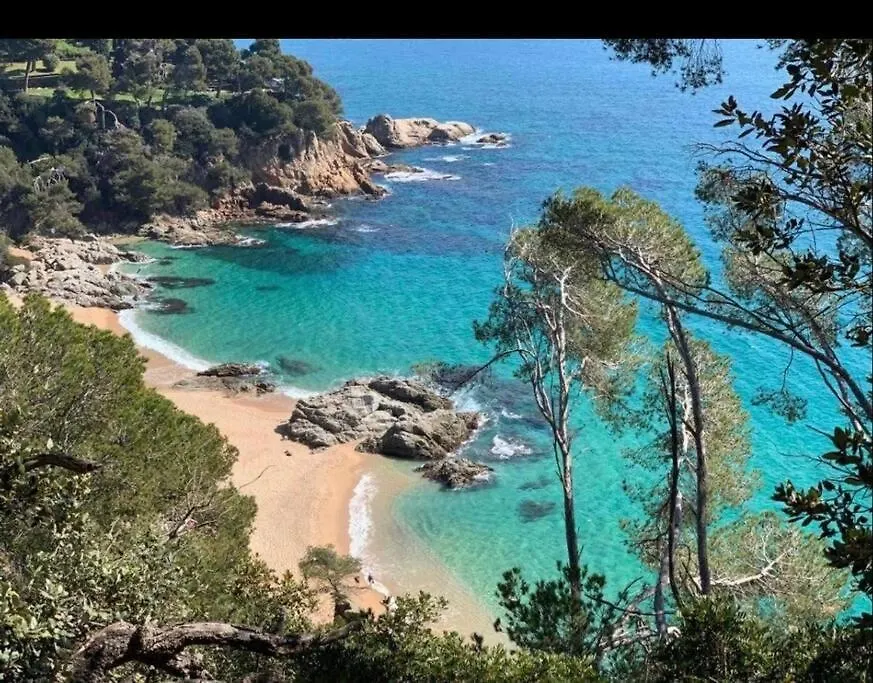 Apartment Seahomes Vacations - Acacias Beach&Chic Lloret de Mar Spain